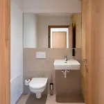 Apartment Atelier Ronacher