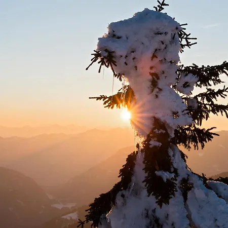 Atelier Ronacher Анненхайм