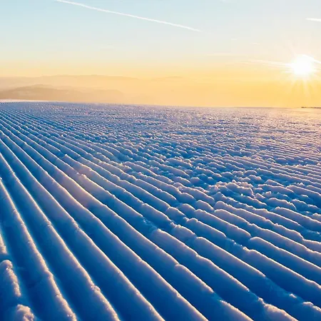 Atelier Ronacher * Анненхайм