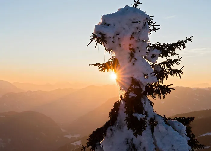 Atelier Ronacher אננהיים