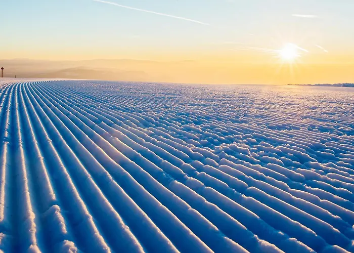 Atelier Ronacher * אננהיים